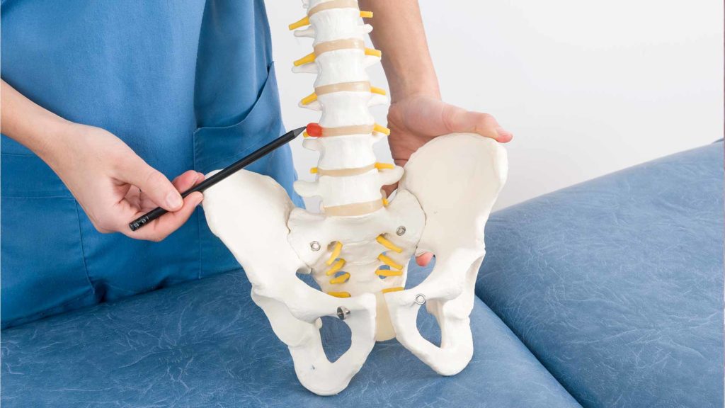 Anatomia espinhal e dor nas costas